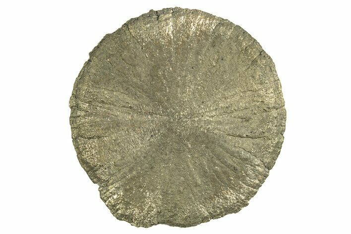 Radiant Pyrite Sun - Sparta, Illinois #342557